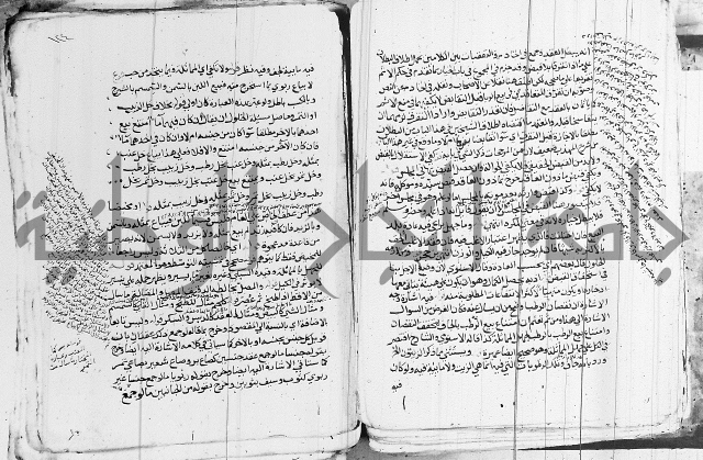 الزيادي على المنهج 