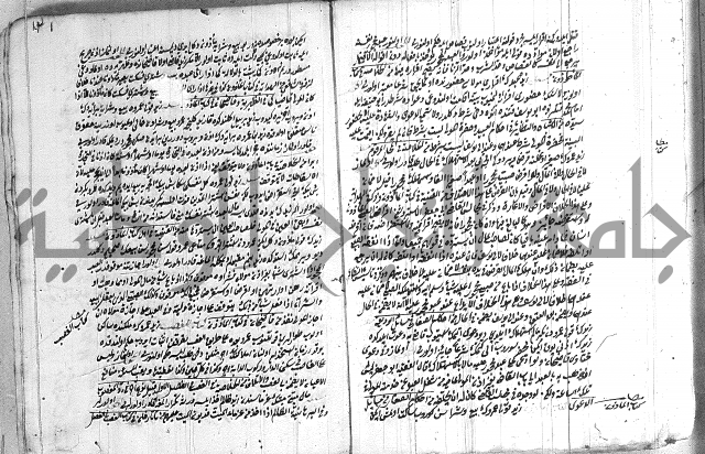 فتاوي تركية