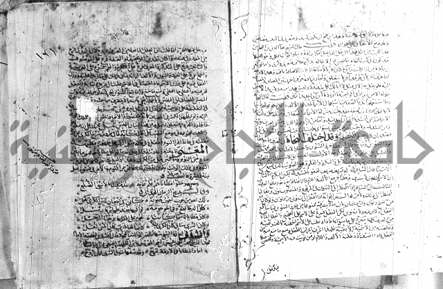 شرح لامية العجم 