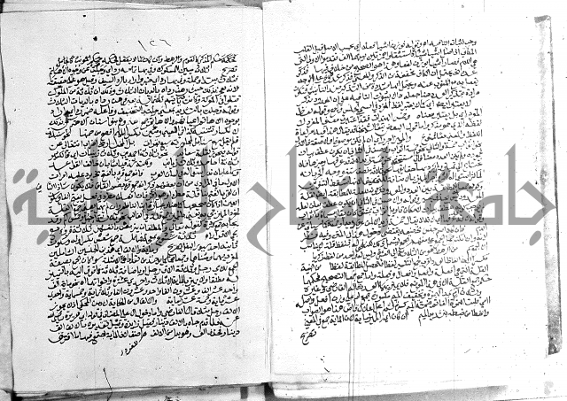 كتاب في اللغة العربية