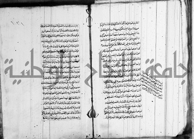 فوائد على الكافية 