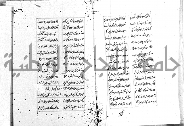 كتاب يوسف زليخا المؤلف 