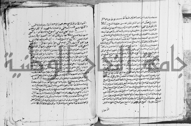 الزيادي على المنهج 