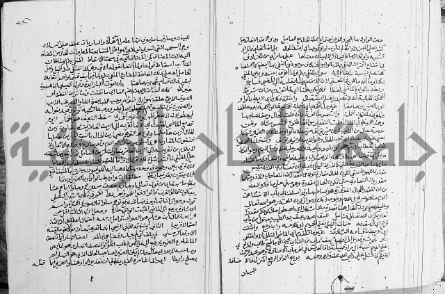 كتاب في اللغة