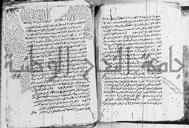 الزيادي على المنهج 