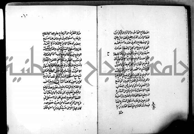 الرسالة البيانية