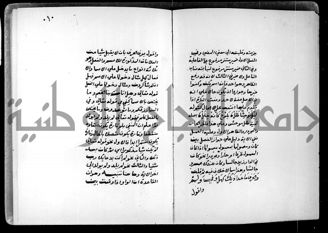 شرح شذور الذهب في معرفة كلام العرب 