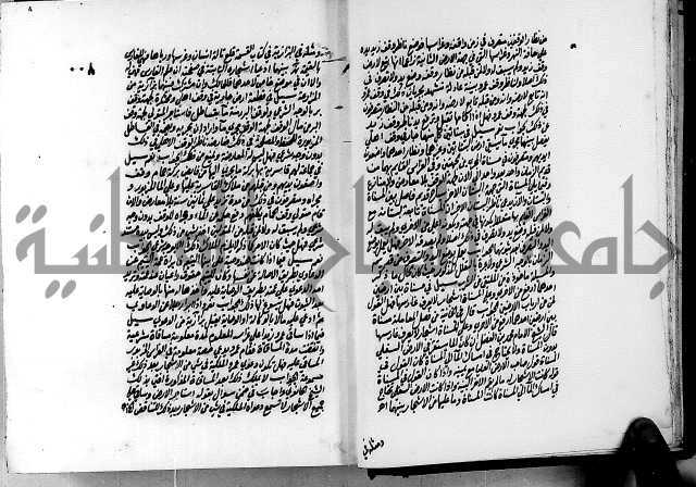 الجواهر الدورية في تنقيح الفتاوى الحامدية ج2 