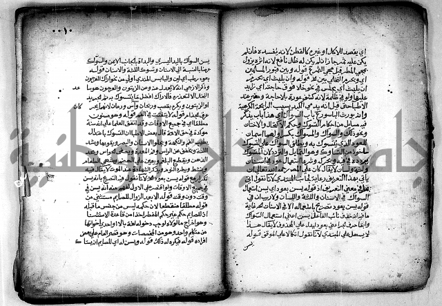 فقة من مخطوطات مسجد الحاج نمر النابلسي 