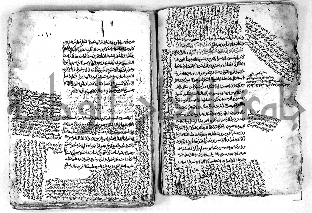 كتاب شرح الألفية للعلامة بن عقيل