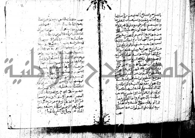 منية المصلي للنصراوي