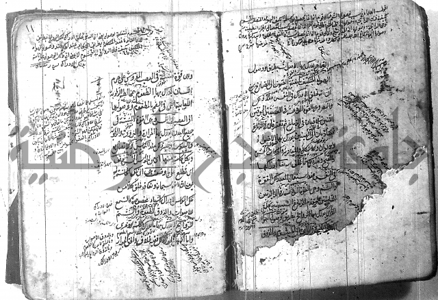شرح عقائد النسفية