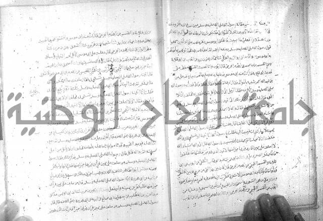 صحيح مسلم ج 2 