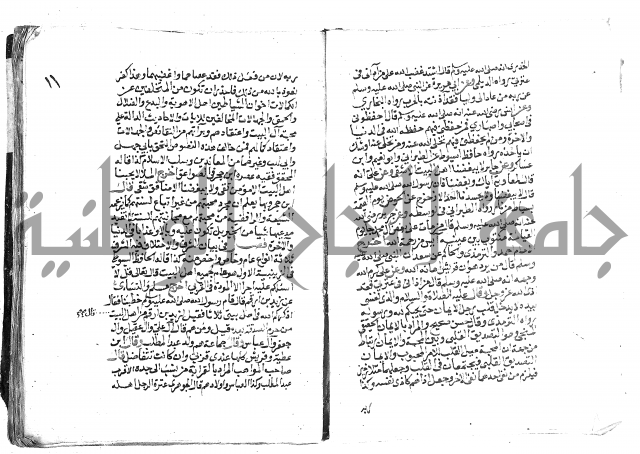 تحفة بن عبد مناف