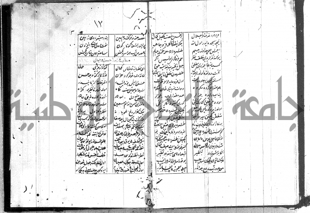 نظم تركي