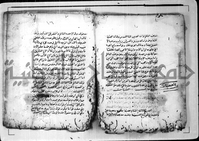 الدرة المعنية في شرح الفارضية 