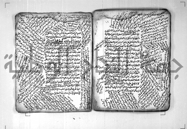 شرح الهمزية  