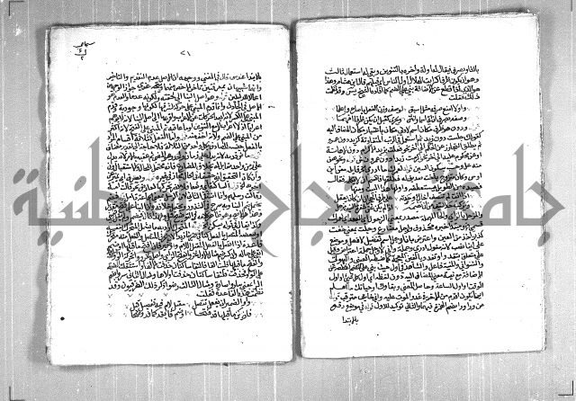 حاشية السجاعي على شرح قطر الندى وبل الصدى لابن هشام