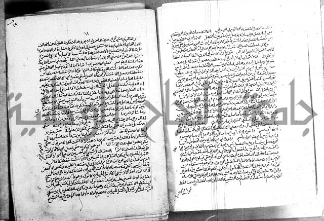 كتاب في اللغة العربية