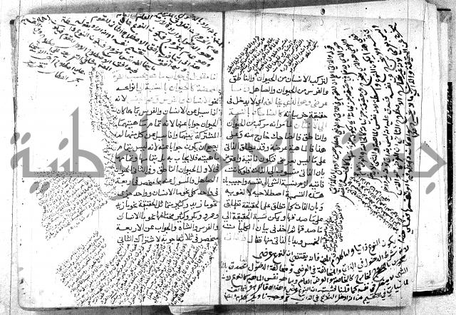 المطلع 