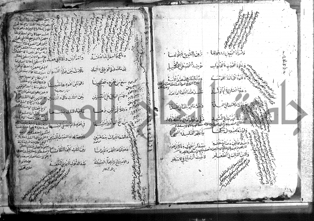 فقة حنفي 