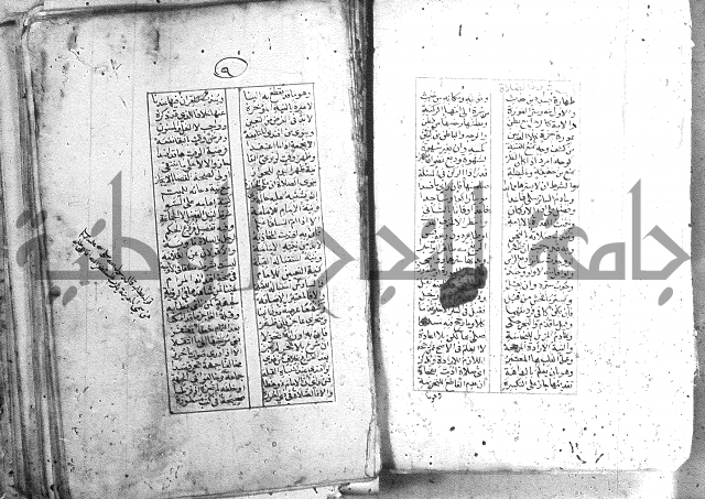 خلاصة التنوير 
