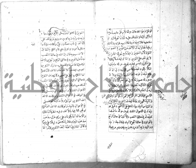 شرح الشافية 