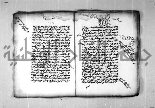 شرح الهمزية  
