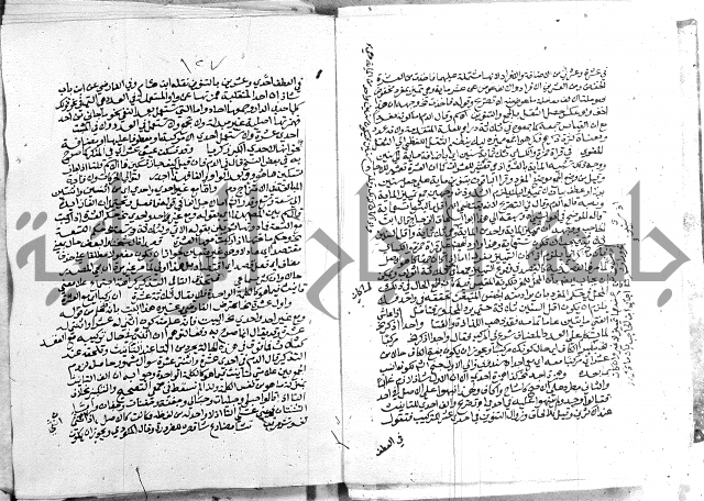 كتاب في اللغة العربية