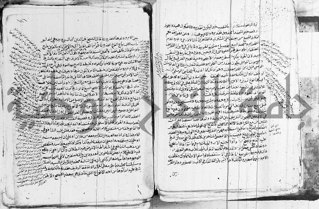 الزيادي على المنهج 