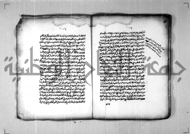 شرح الهمزية  