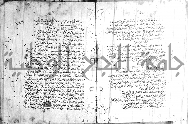 شرح لامية العجم 