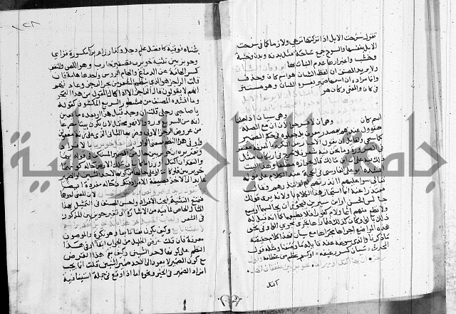 كتاب في النحو