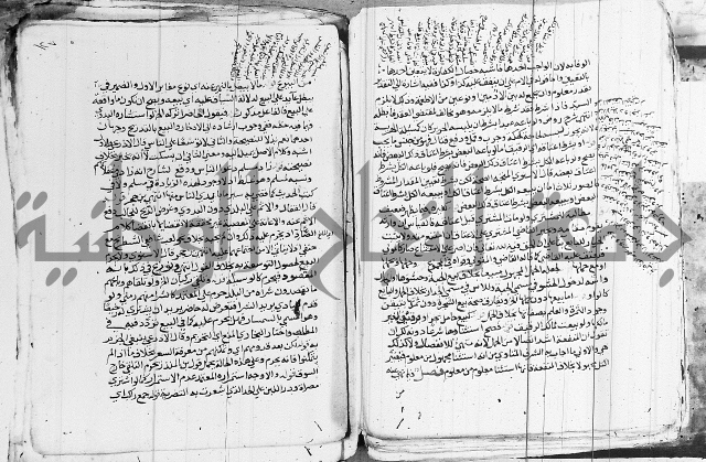 الزيادي على المنهج 