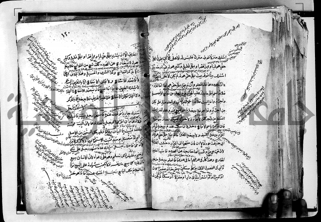 مذهب ابي حنيفة في الفقة