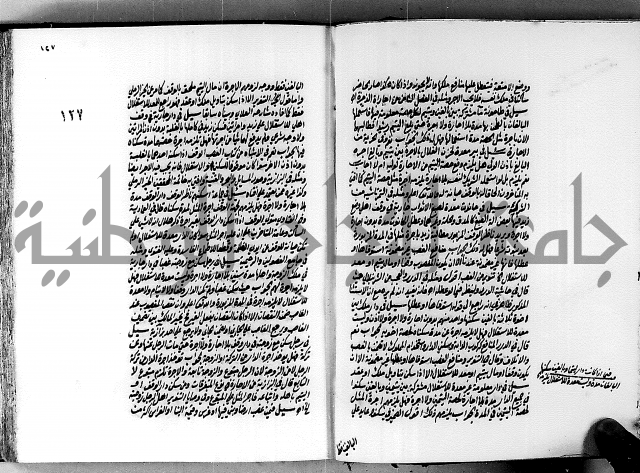 الجواهر الدورية في تنقيح الفتاوى الحامدية ج2 