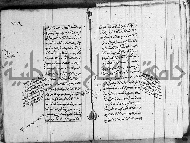 فوائد على الكافية 