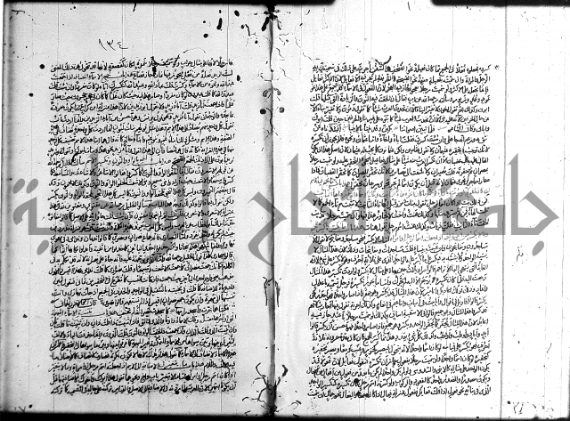 سيبويه 