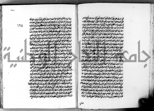 الجواهر الدورية في تنقيح الفتاوى الحامدية ج2 