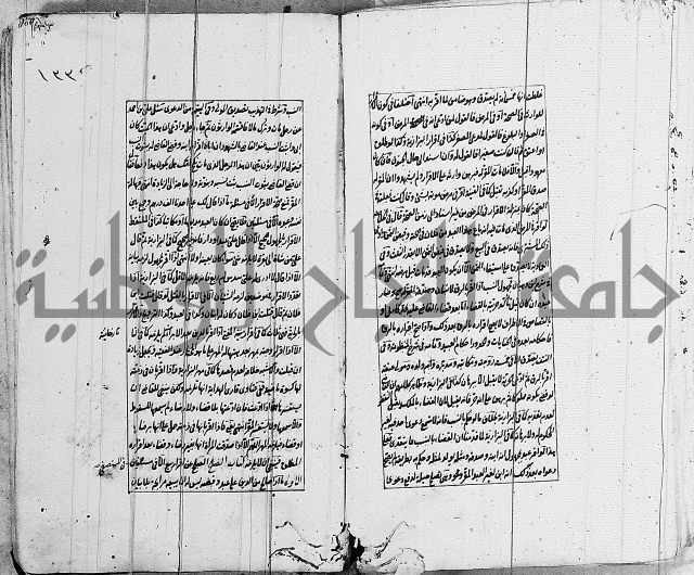 الاشباه والنظائر