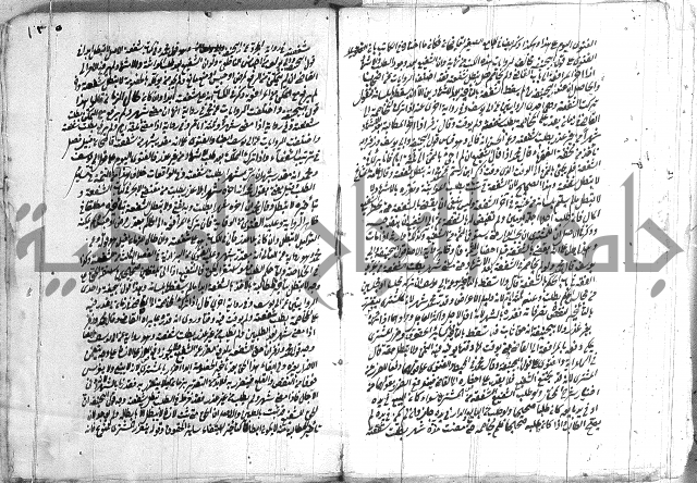 فتاوي تركية