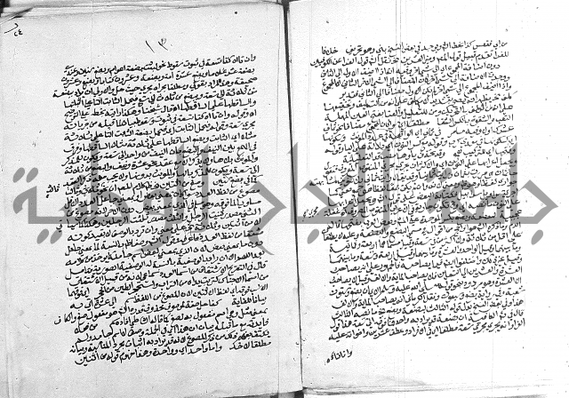 كتاب في اللغة العربية