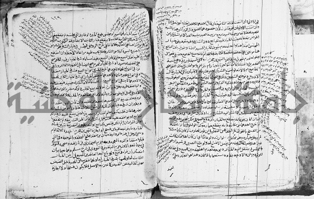 الزيادي على المنهج 
