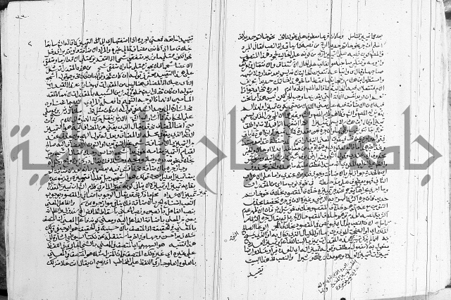 كتاب في اللغة