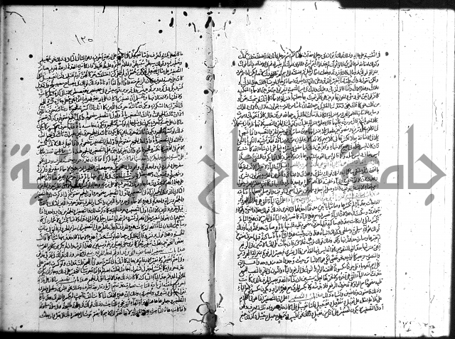 سيبويه 
