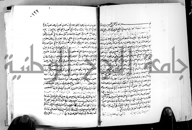 البحر الفائض في شرح ديوان ابن الفارض البوريني 