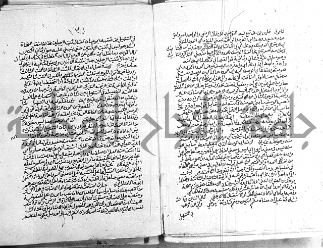 كتاب في اللغة العربية