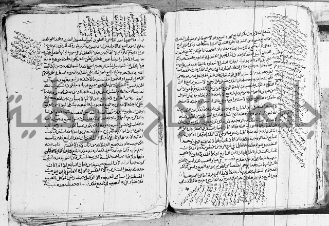 الزيادي على المنهج 