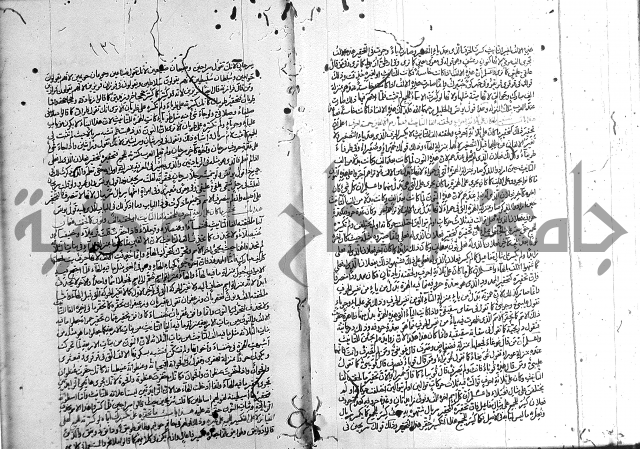 سيبويه 