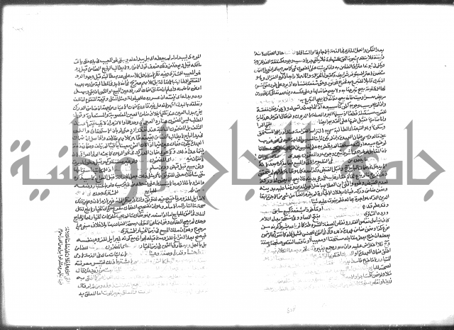 شرح الرملي 2